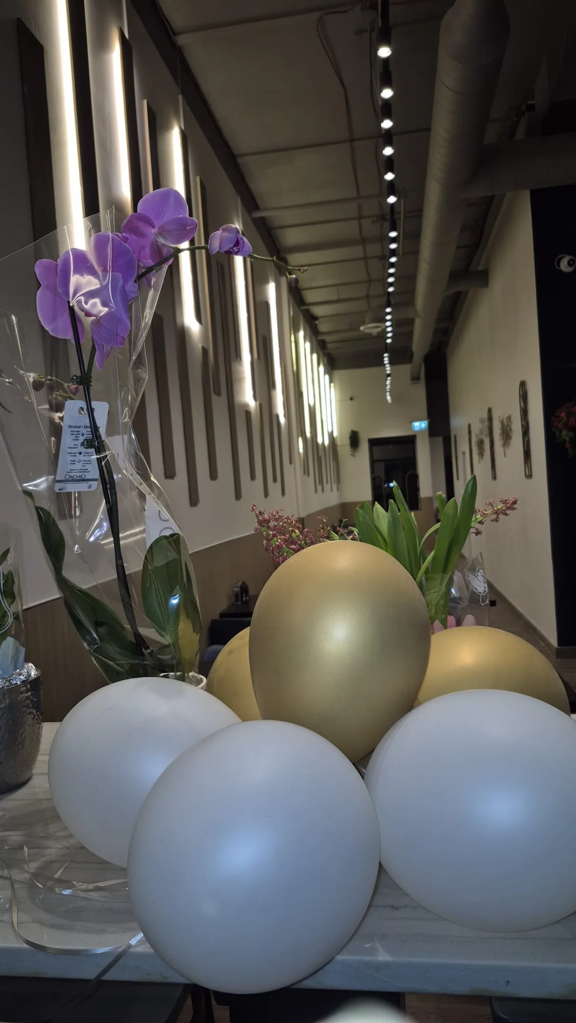 Restaurant hallway with accent lighting
